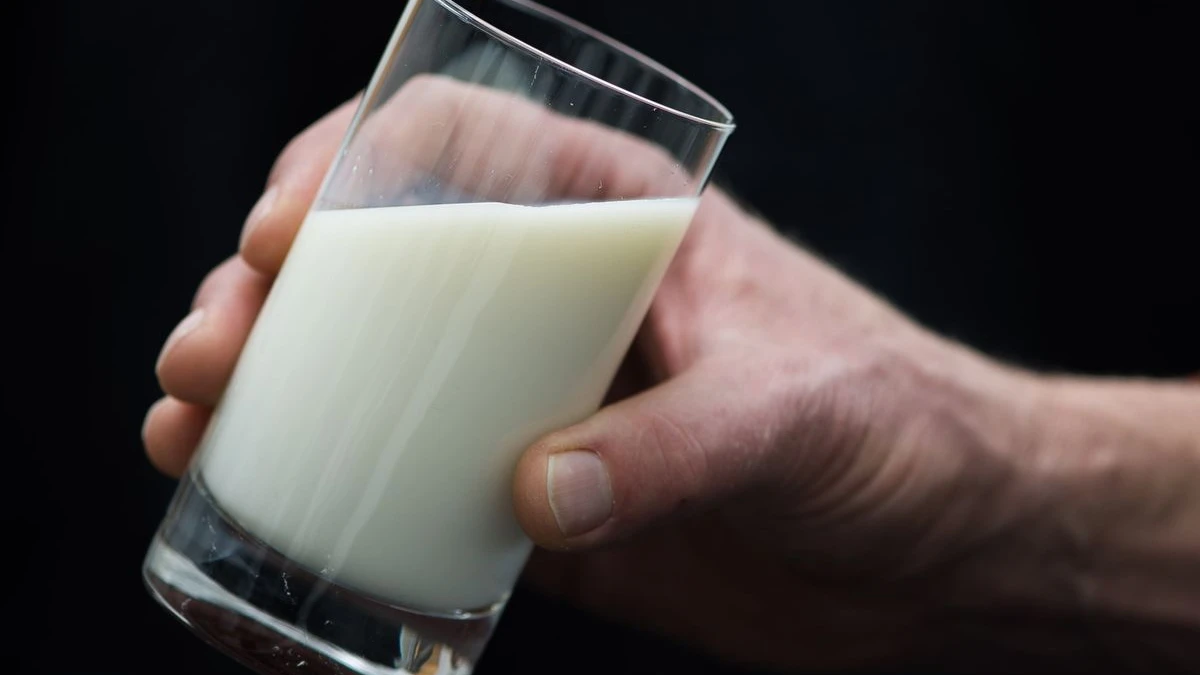 ARD Belgeseli Ortaya Koydu: Süt Endüstrisinin 5 Şaşırtıcı Hilesi!, © Lukas Schulze/dpa ARD Belgeseli Ortaya Koydu: Süt Endüstrisinin 5 Şaşırtıcı Hilesi!, © Lukas Schulze/dpa