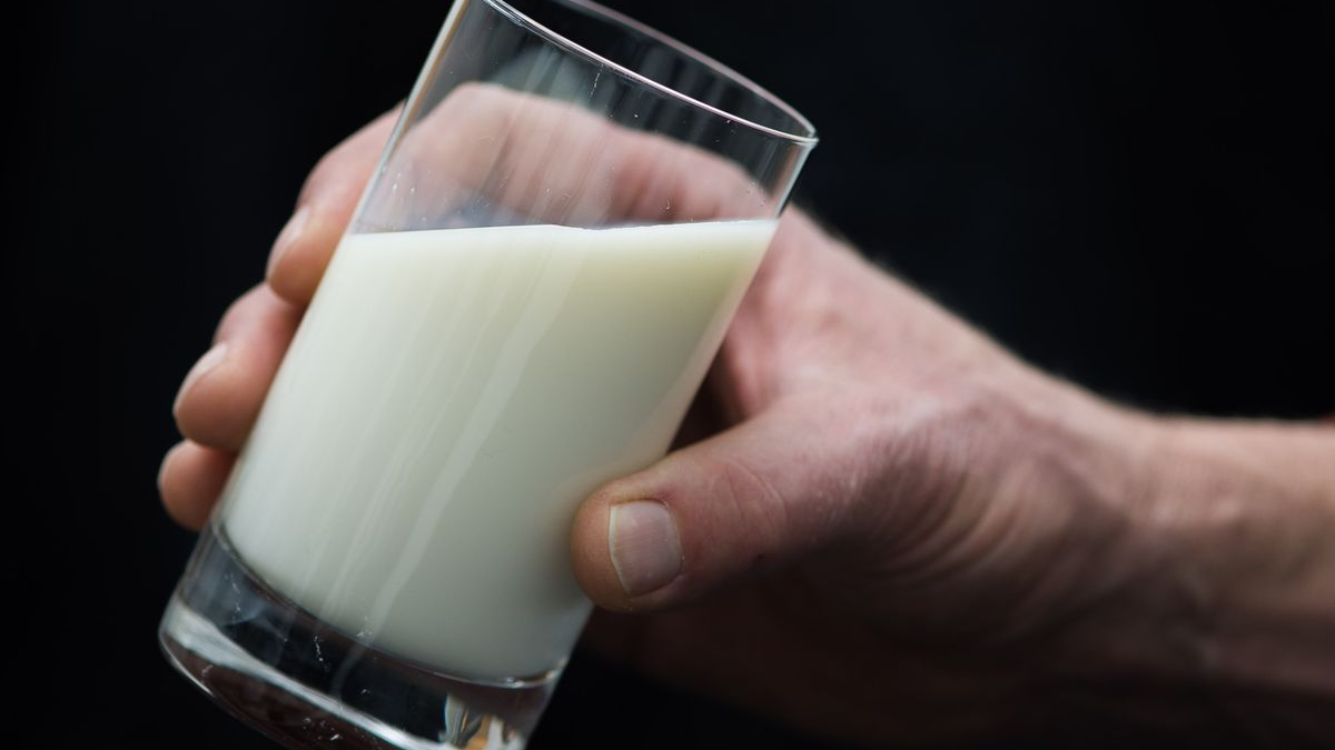 ARD Belgeseli Ortaya Koydu: Süt Endüstrisinin 5 Şaşırtıcı Hilesi!, © Lukas Schulze/dpa