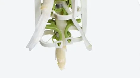 © hagengrote.ch © hagengrote.ch