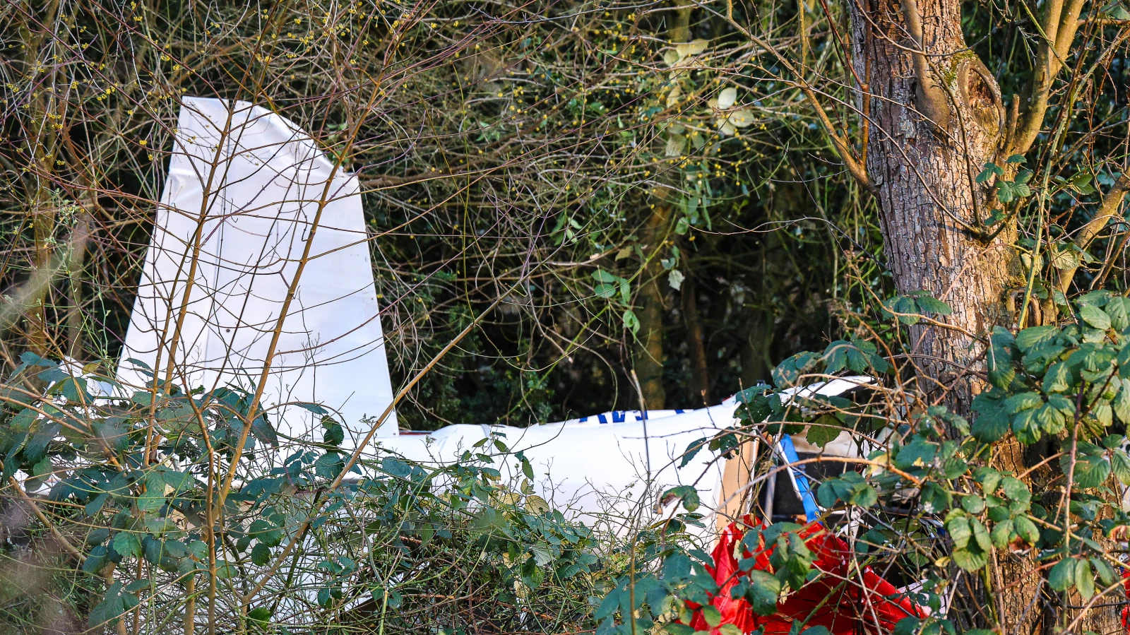 Sauerland’da Küçük Uçak Kazası: Pilot Hayatını Kaybetti, © dpa Sauerland’da Küçük Uçak Kazası: Pilot Hayatını Kaybetti, © dpa