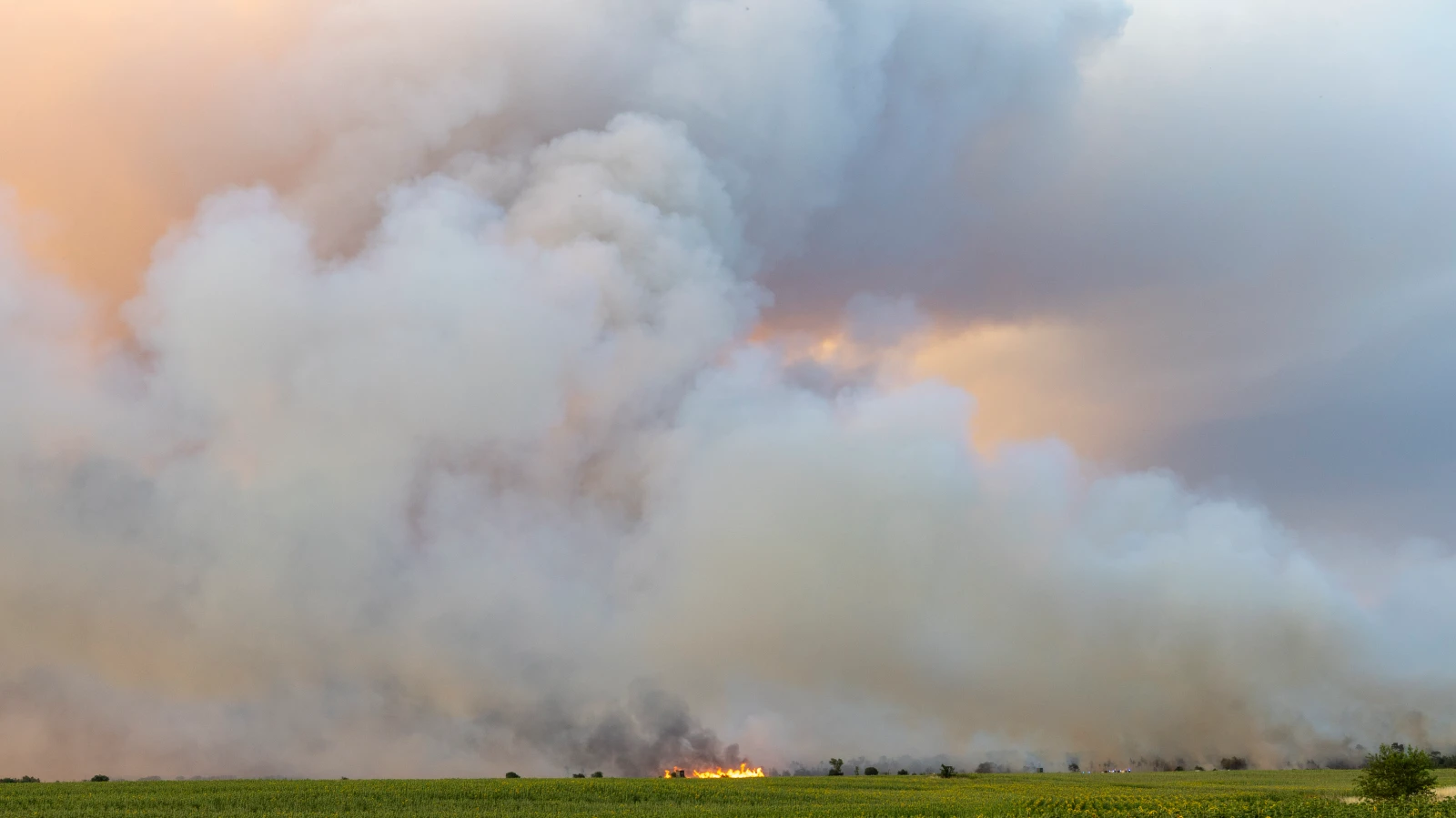 Doğu Almanya’da orman yangınları büyüyor!, © Daniel Wagner/dpa Doğu Almanya’da orman yangınları büyüyor!, © Daniel Wagner/dpa