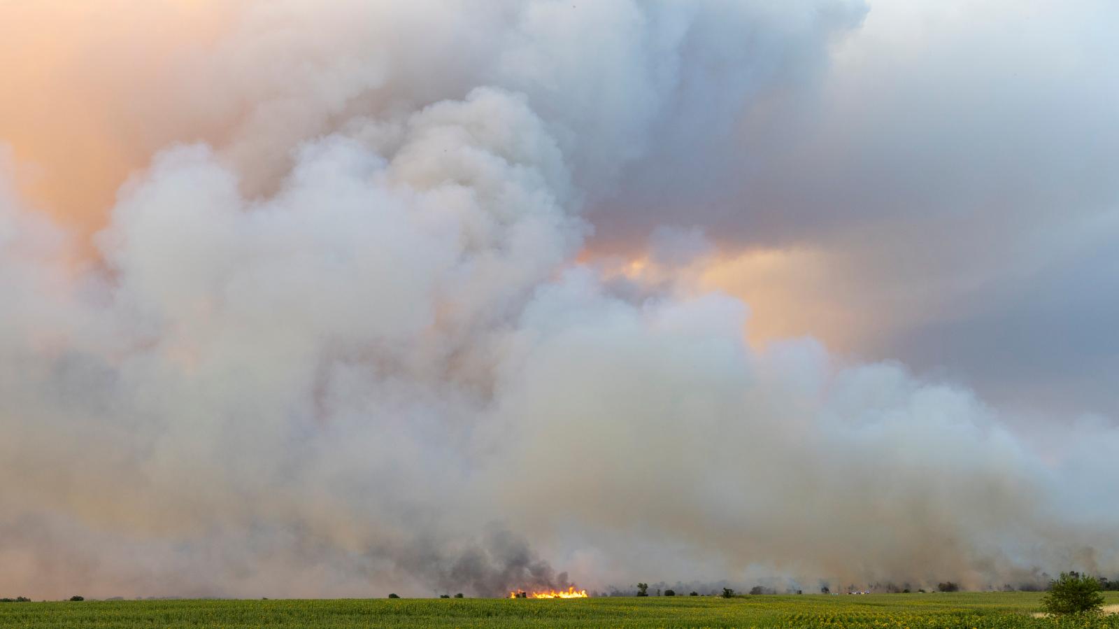 Doğu Almanya’da orman yangınları büyüyor!, © Daniel Wagner/dpa