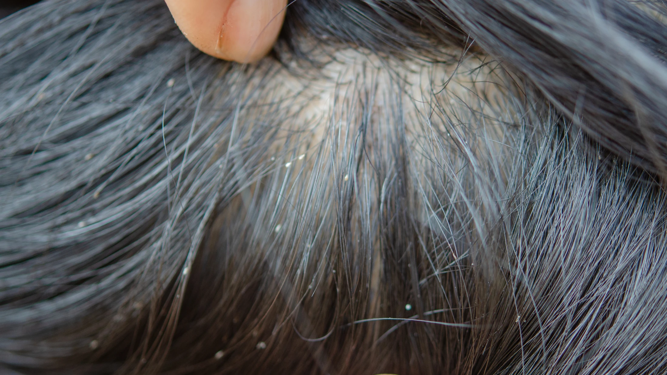 © Depositfotos / Symbolbild / aooo8449 © Depositfotos / Symbolbild / aooo8449