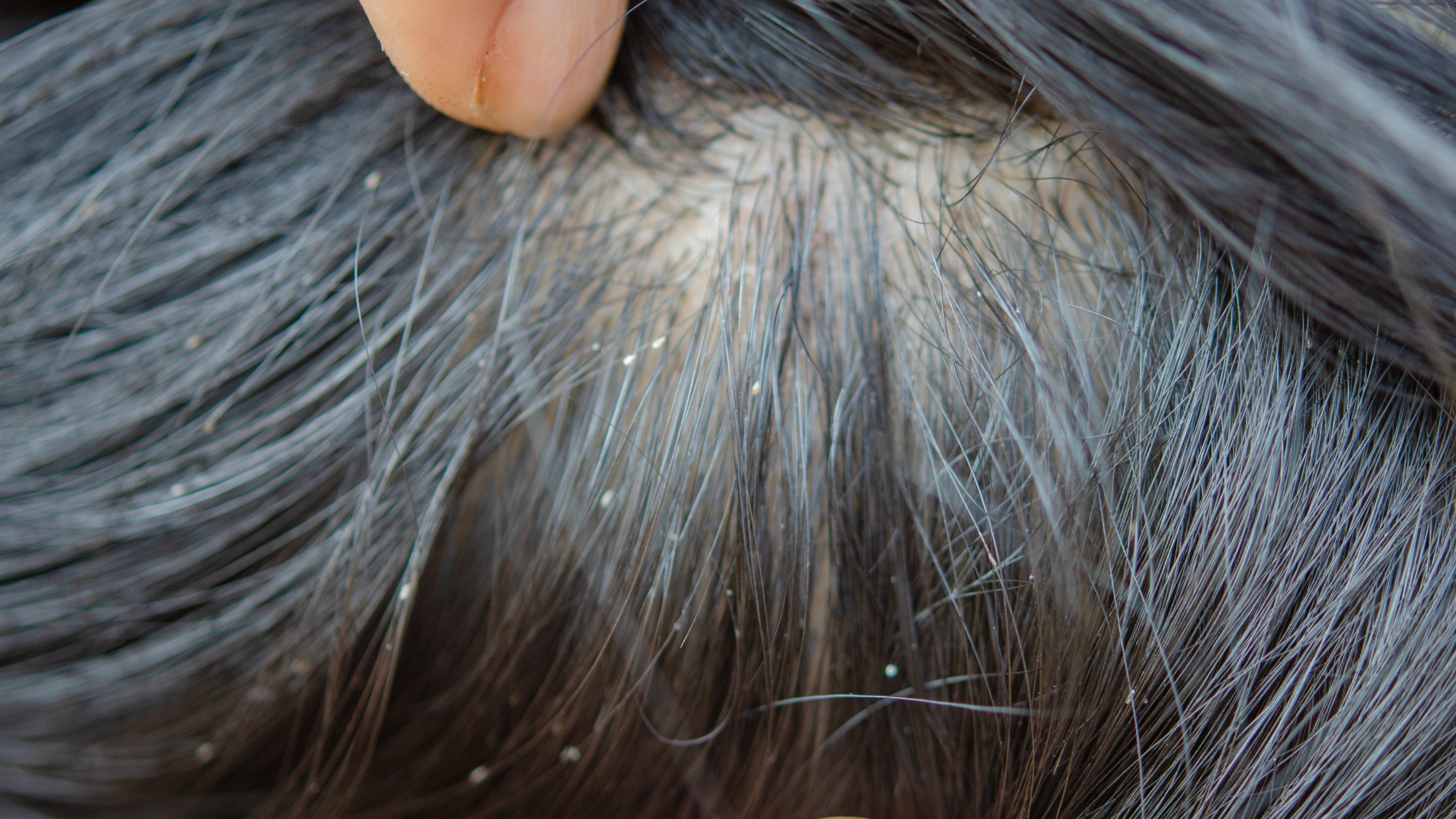 © Depositfotos / Symbolbild / aooo8449