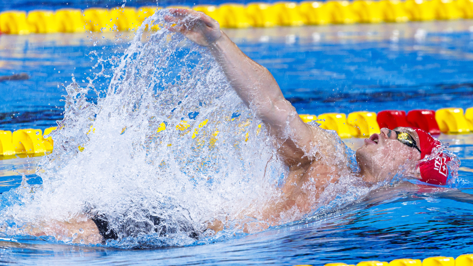 Schwimmen: WM-Silber für Roman Mityukov, © Keystone