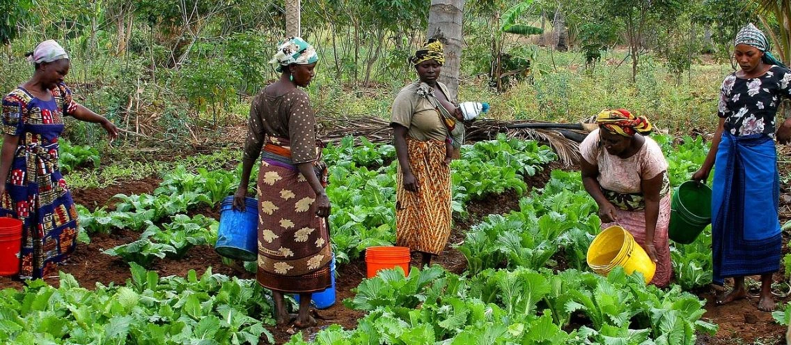 LED-Projekt in Tansania LED-Projekt in Tansania