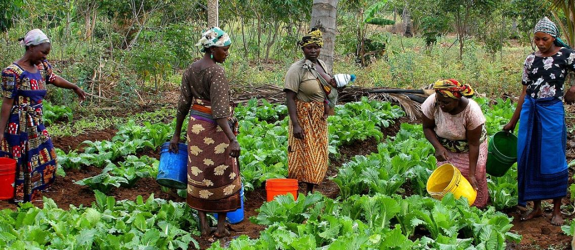 LED-Projekt in Tansania
