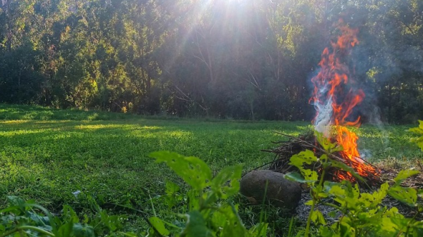Noch kein Feuerverbot in Schaffhausen geplant, © Symbolbild: Unsplash, Roque Principe