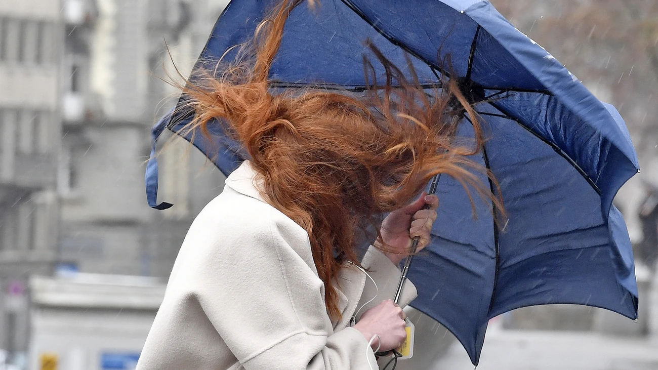 Sturm «Frederico»: 100 Einsätze im Kanton Zürich, © Keystone-SDA Sturm «Frederico»: 100 Einsätze im Kanton Zürich, © Keystone-SDA