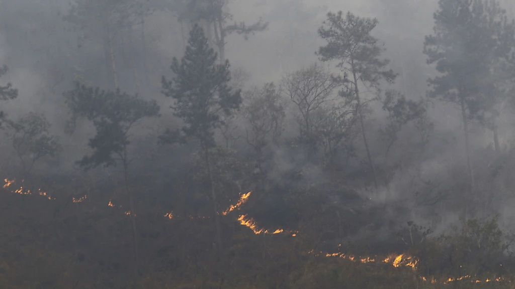 Ist Klimaschutz ein Menschenrecht? , © Juan Carlos Hernandez/ZUMA Press Wire/dpa Ist Klimaschutz ein Menschenrecht? , © Juan Carlos Hernandez/ZUMA Press Wire/dpa