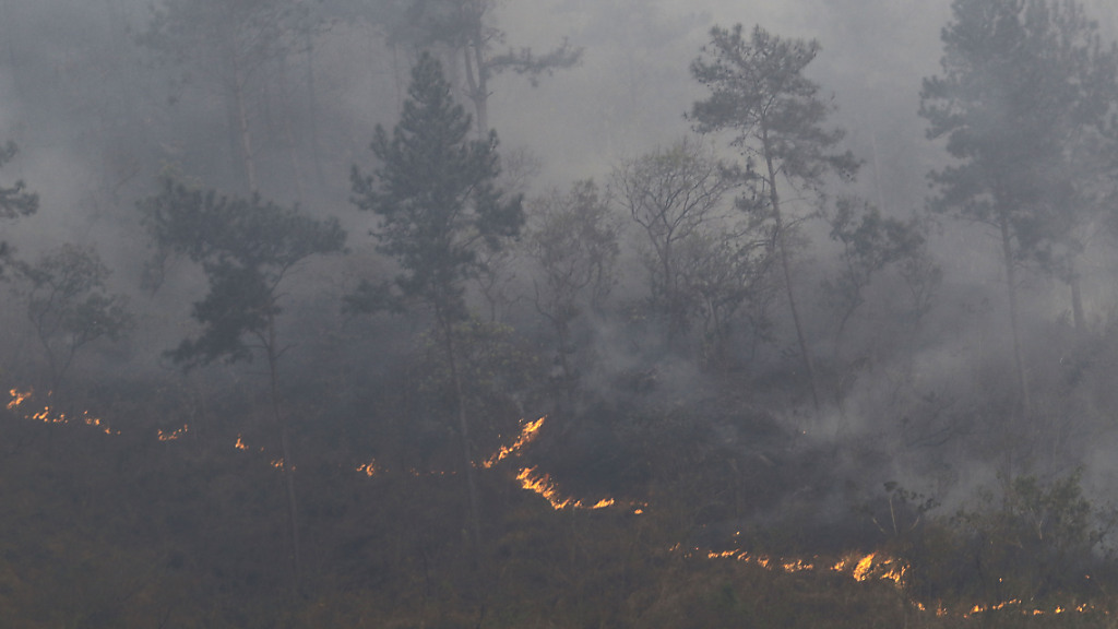 Ist Klimaschutz ein Menschenrecht?&nbsp;, © Juan Carlos Hernandez/ZUMA Press Wire/dpa