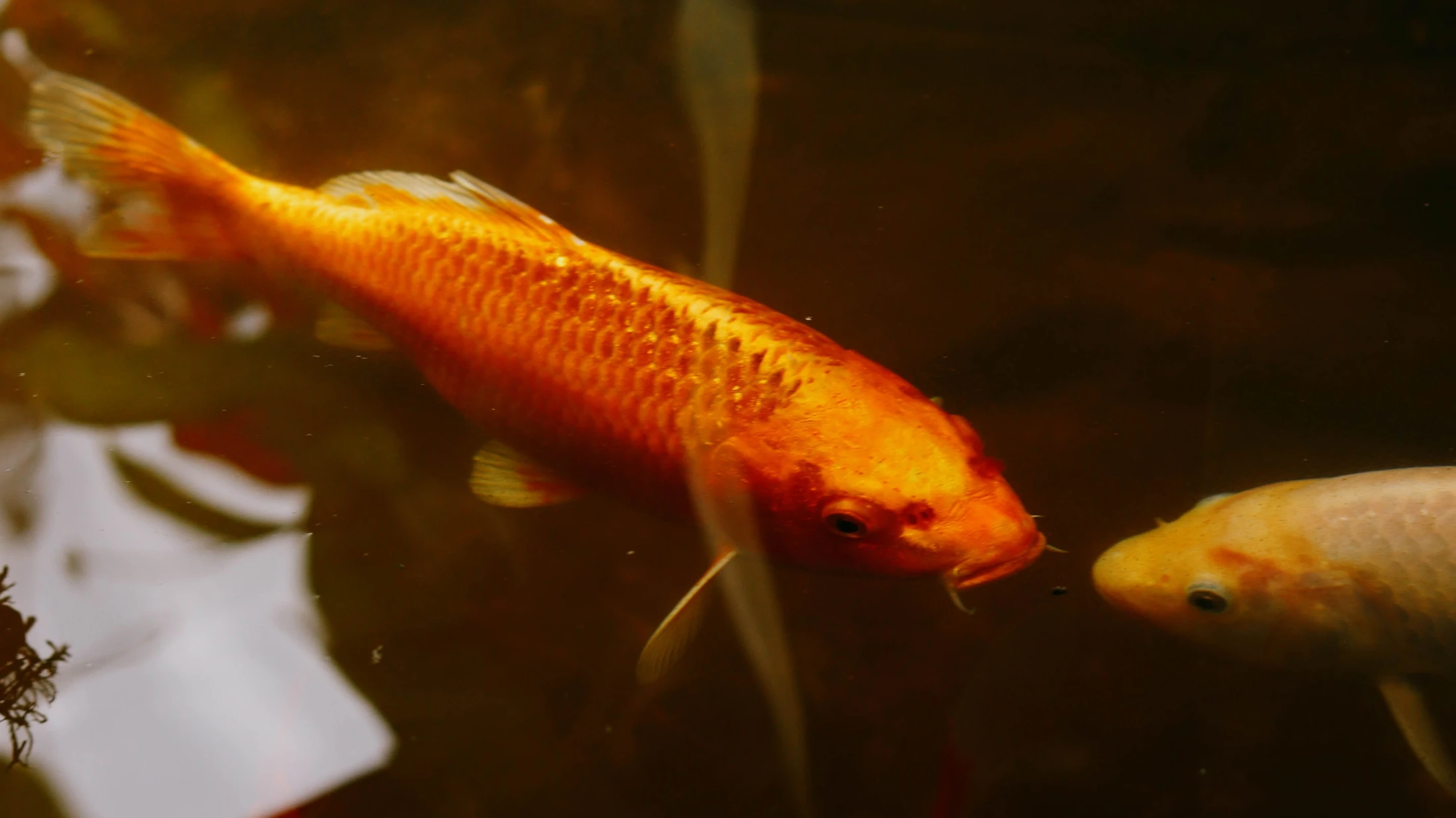 © Valeria Nikitina © Valeria Nikitina