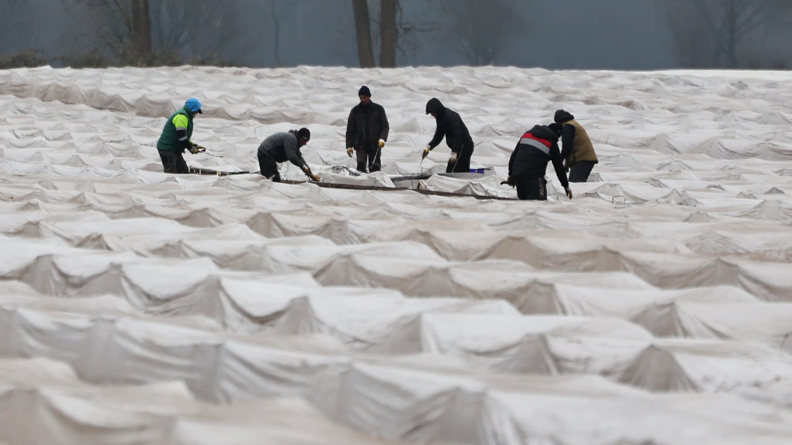 Mainz Eyalet Mahkemesi’nde Tarım İşçisine Ağır Suçlama, © dpa Mainz Eyalet Mahkemesi’nde Tarım İşçisine Ağır Suçlama, © dpa