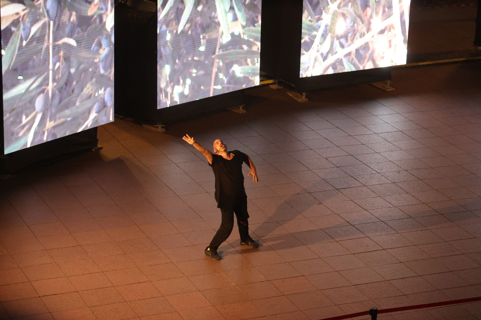 Ein Künstler tanzt bei der Uraufführung der Tanz-Video-Installation «Der Olivenhain».
