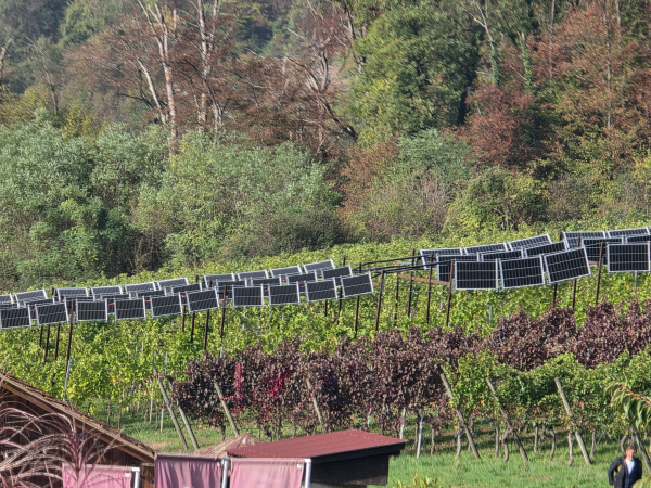 Sicht auf die Solar-Panels auf den Reben
