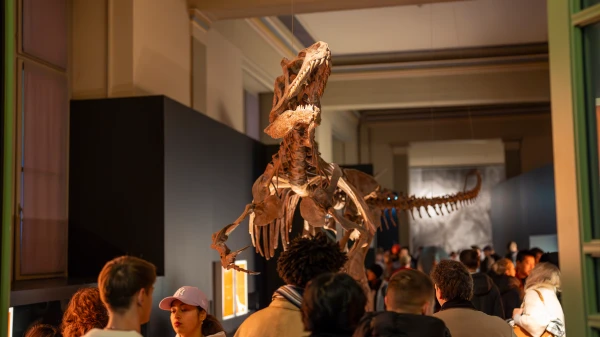 «Jurassic Nights» im Naturhistorischen Museum, © Jeton Shali «Jurassic Nights» im Naturhistorischen Museum, © Jeton Shali