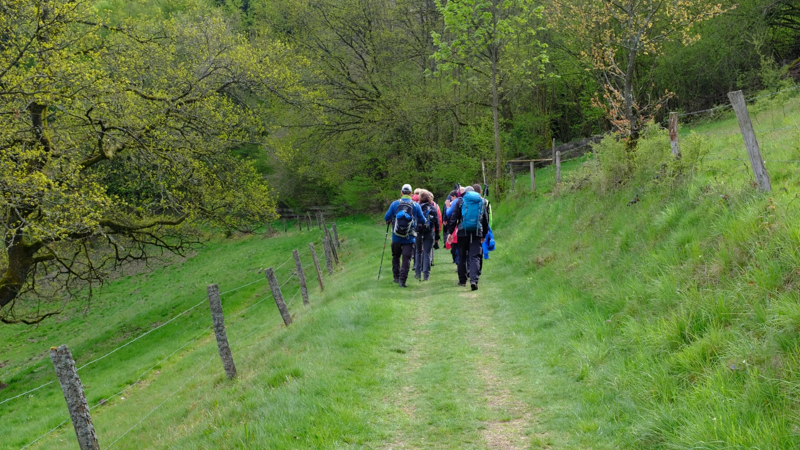Frankfurt, © shutterstock Frankfurt, © shutterstock
