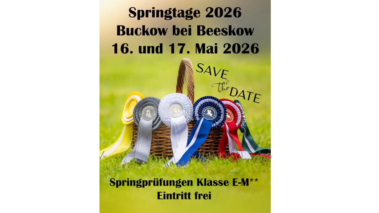 Springtage 2026 Reitverein Beeskow