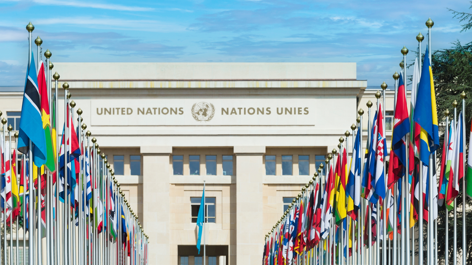 Birleşmiş Milletler Genel Kurulu Başlıyor!, © shutterstock