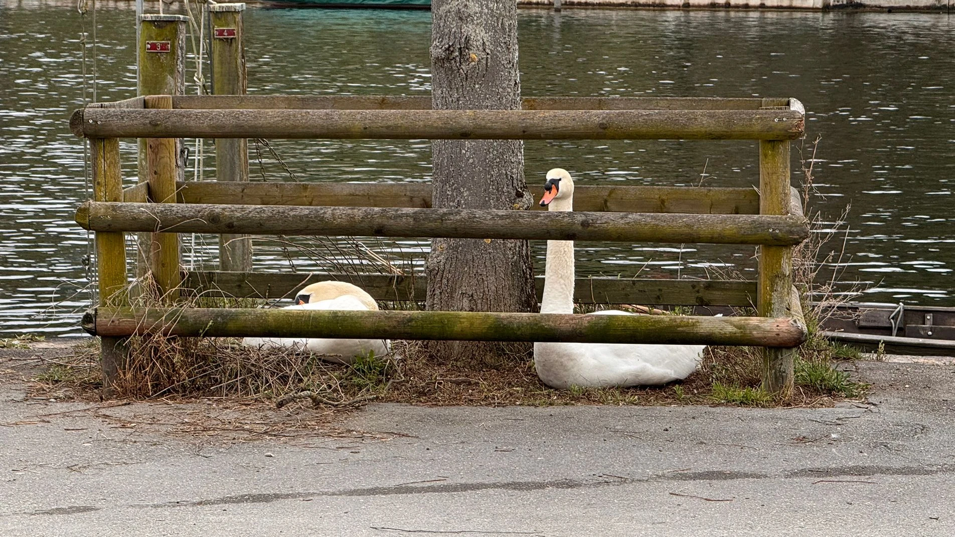 © Radio Munot © Radio Munot