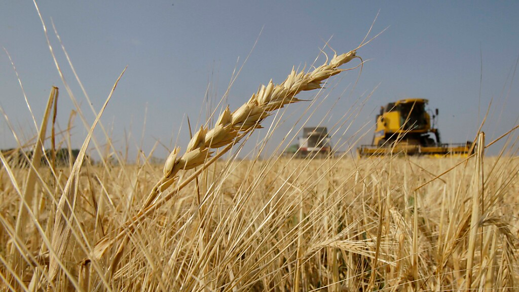 EU-Kommission bereitet höhere Zölle auf russisches Getreide vor, © Keystone / SDA / Symbolbild