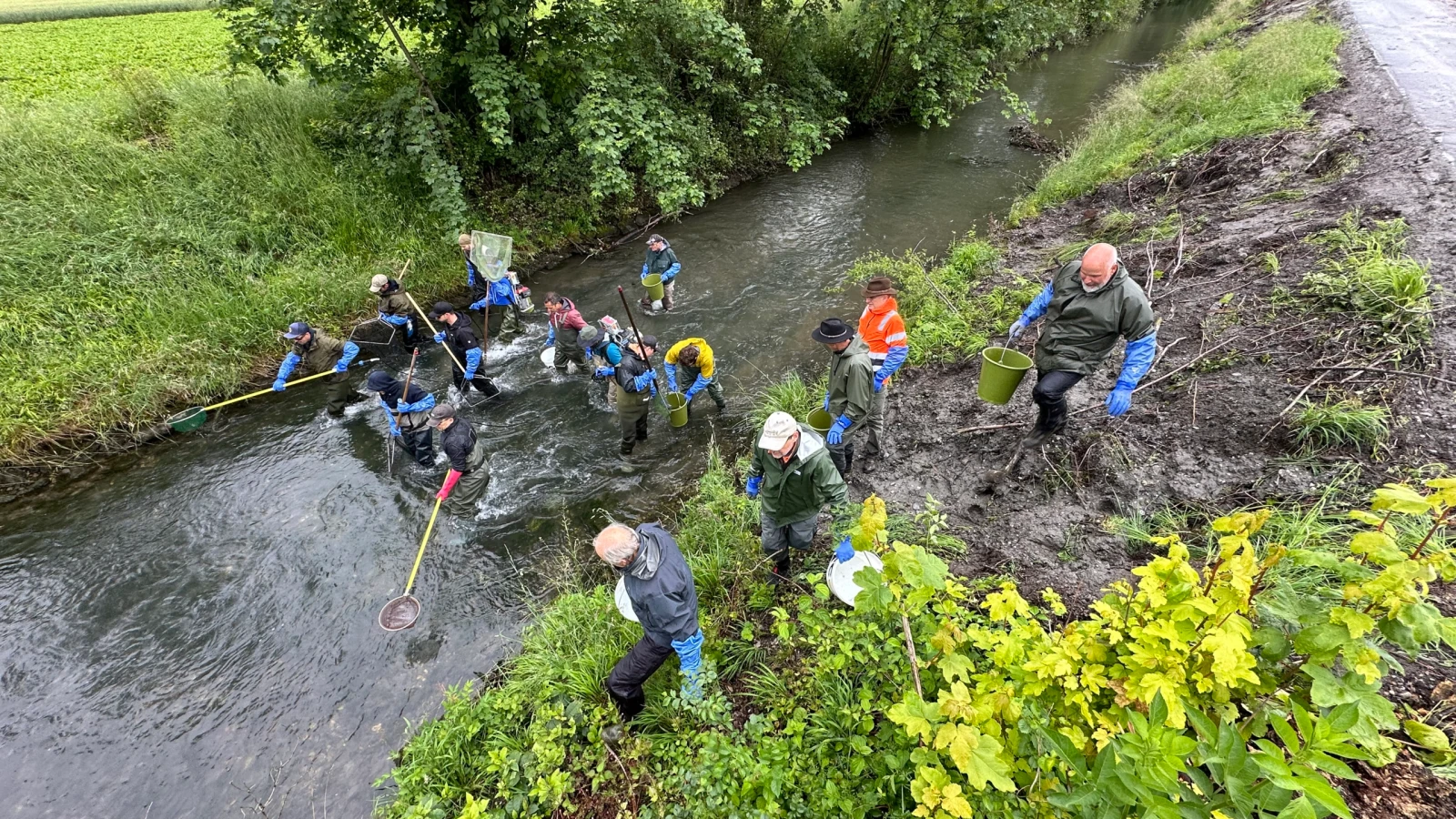 Fisch-Züglete im Werdenberger Binnenkanal, © Werdenberger Binnenkanal Fisch-Züglete im Werdenberger Binnenkanal, © Werdenberger Binnenkanal