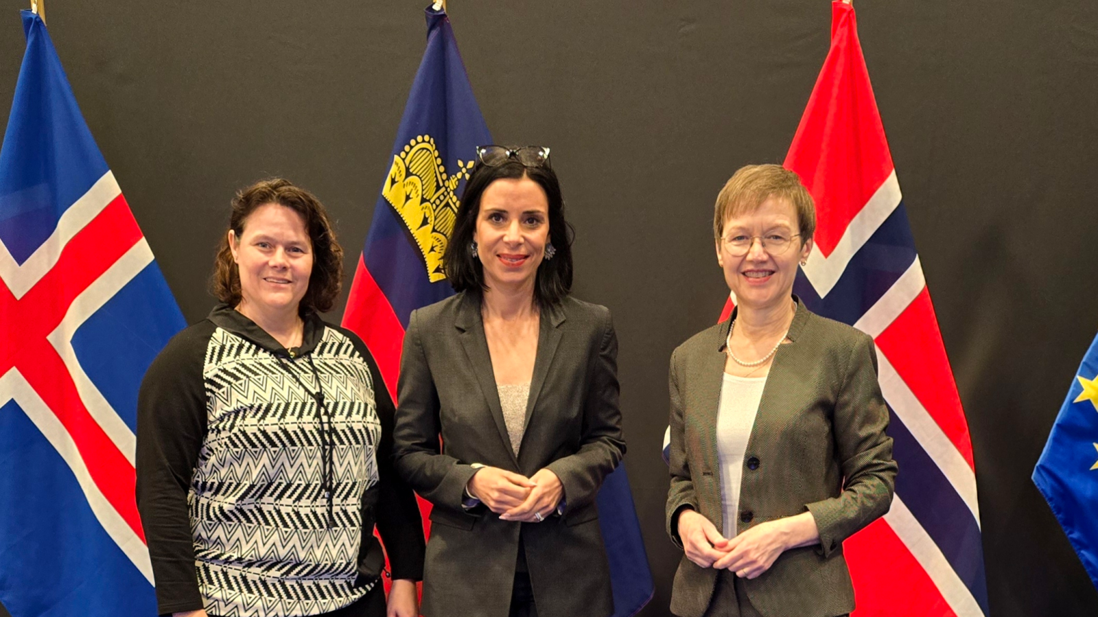 Gemeinsamen EWR-Treffen in Brüssel, © Parlamentsdienst