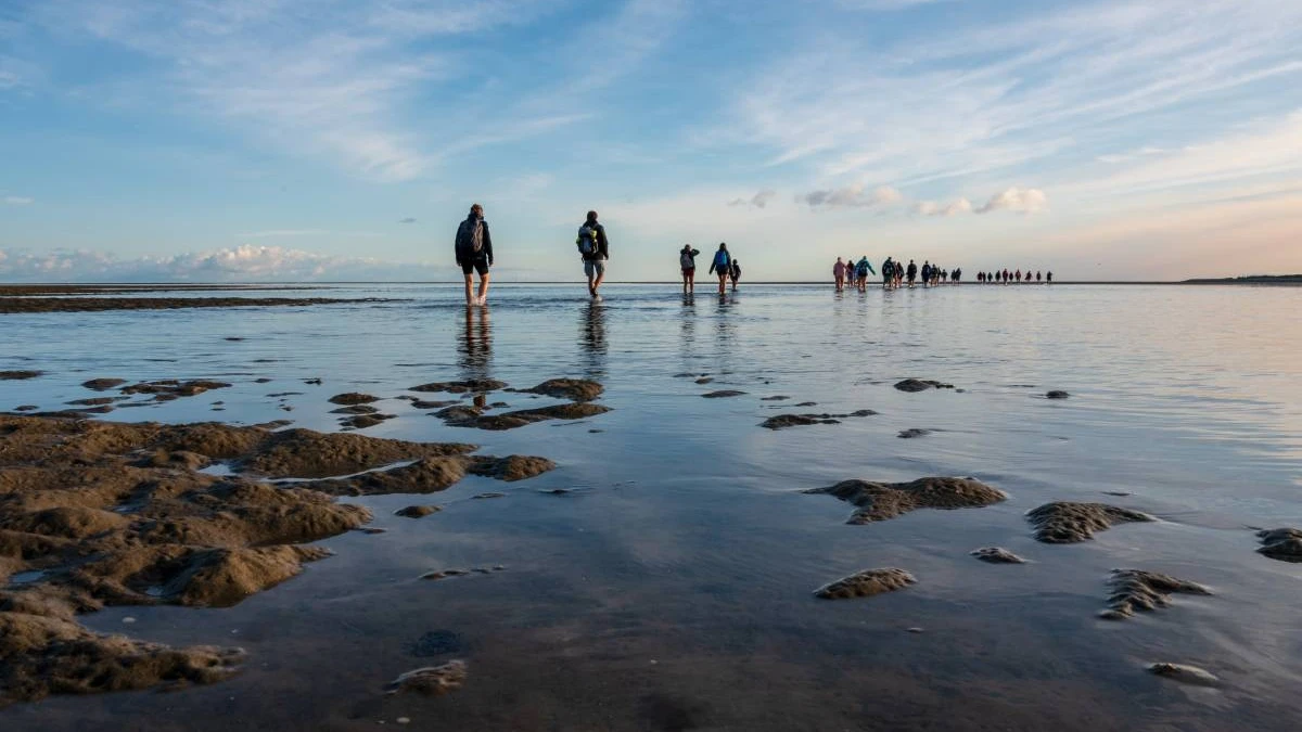 Schmuddelwetter begrüßt die Camper an der Nordsee, © penofoto / Shutterstock Schmuddelwetter begrüßt die Camper an der Nordsee, © penofoto / Shutterstock
