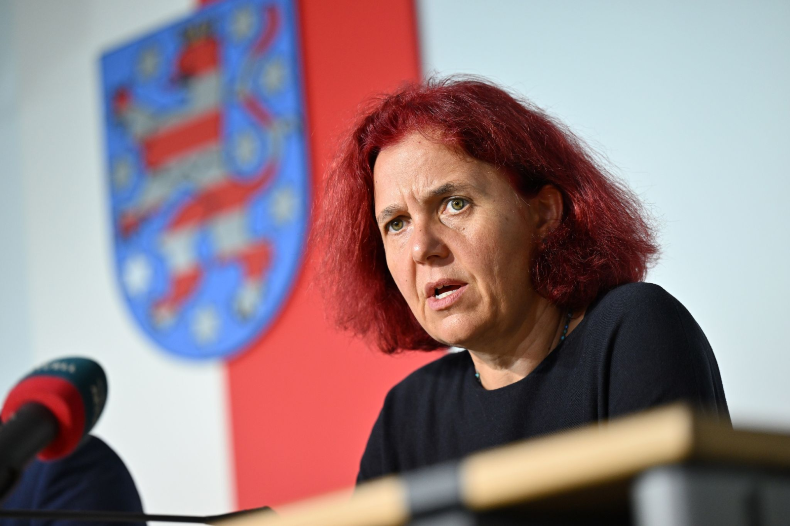 Astrid Rothe-Beinlich spricht während der Landespressekonferenz im Thüringer Landtag.