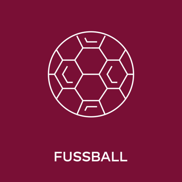 Fussball Icon, © https://www.seven.one/documents/20182/8892646/01_Genre_MaxReach.svg