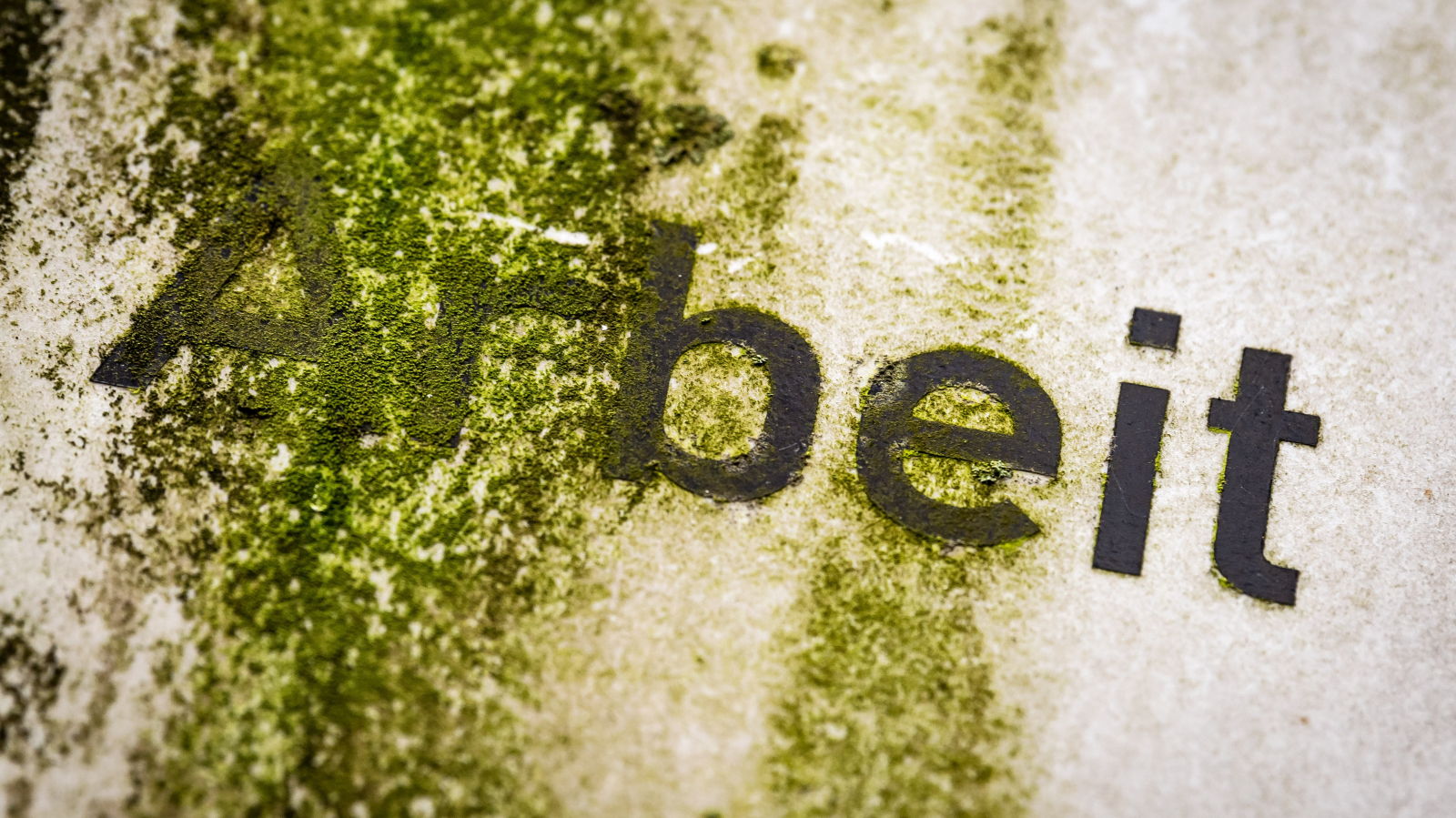 Bremenli Krankenkasse'den Dört Günlük Çalışma Haftası Hamlesi!, © dpa