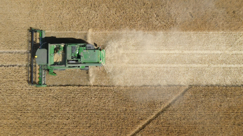 EU-Staaten fordern Importbeschränkung für russisches Getreide, © Keystone / SDA / Symbolbild EU-Staaten fordern Importbeschränkung für russisches Getreide, © Keystone / SDA / Symbolbild