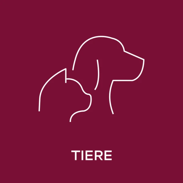 Tiere Icon, © https://www.seven.one/documents/20182/8892646/01_Genre_MaxReach.svg Tiere Icon, © https://www.seven.one/documents/20182/8892646/01_Genre_MaxReach.svg