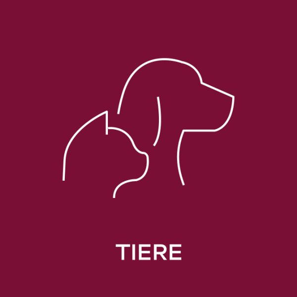 Tiere Icon, © https://www.seven.one/documents/20182/8892646/01_Genre_MaxReach.svg