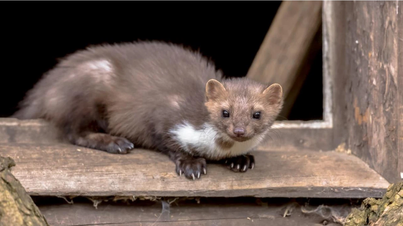 © Quelle: CreativeNature via Stadt Zürich © Quelle: CreativeNature via Stadt Zürich