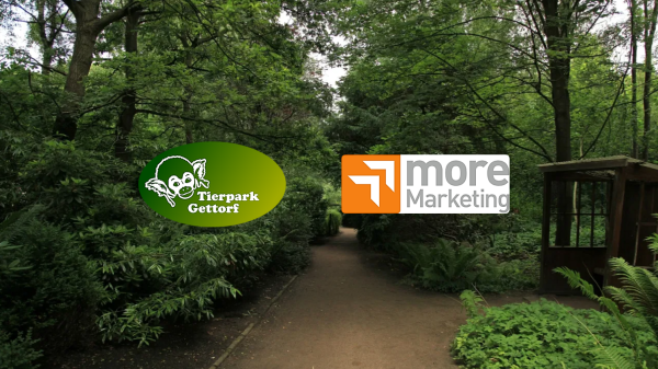 Spot des Monats Februar 2026: "Was machst du am Wochenende?", © more Marketing