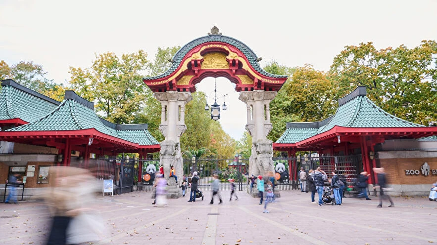 Berliner Zoo Yeniden Açılıyor: Güvenlik Önlemleri ve Kısıtlamalar Uygulanacak, © zooberlin Berliner Zoo Yeniden Açılıyor: Güvenlik Önlemleri ve Kısıtlamalar Uygulanacak, © zooberlin