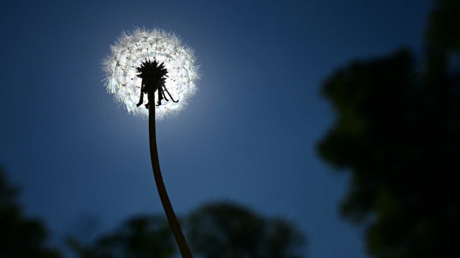 Berlin ve Brandenburg’da Yaz Havası!, © Sebastian Gollnow/dpa