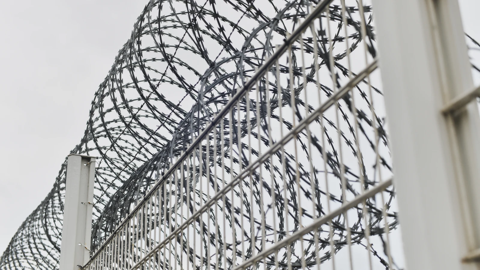 Almanya Sınır Kontrolleri Artırılıyor!, © Envato Almanya Sınır Kontrolleri Artırılıyor!, © Envato