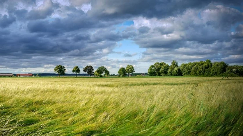 Föhnsturm zieht in der Region auf, © Pixabay Föhnsturm zieht in der Region auf, © Pixabay