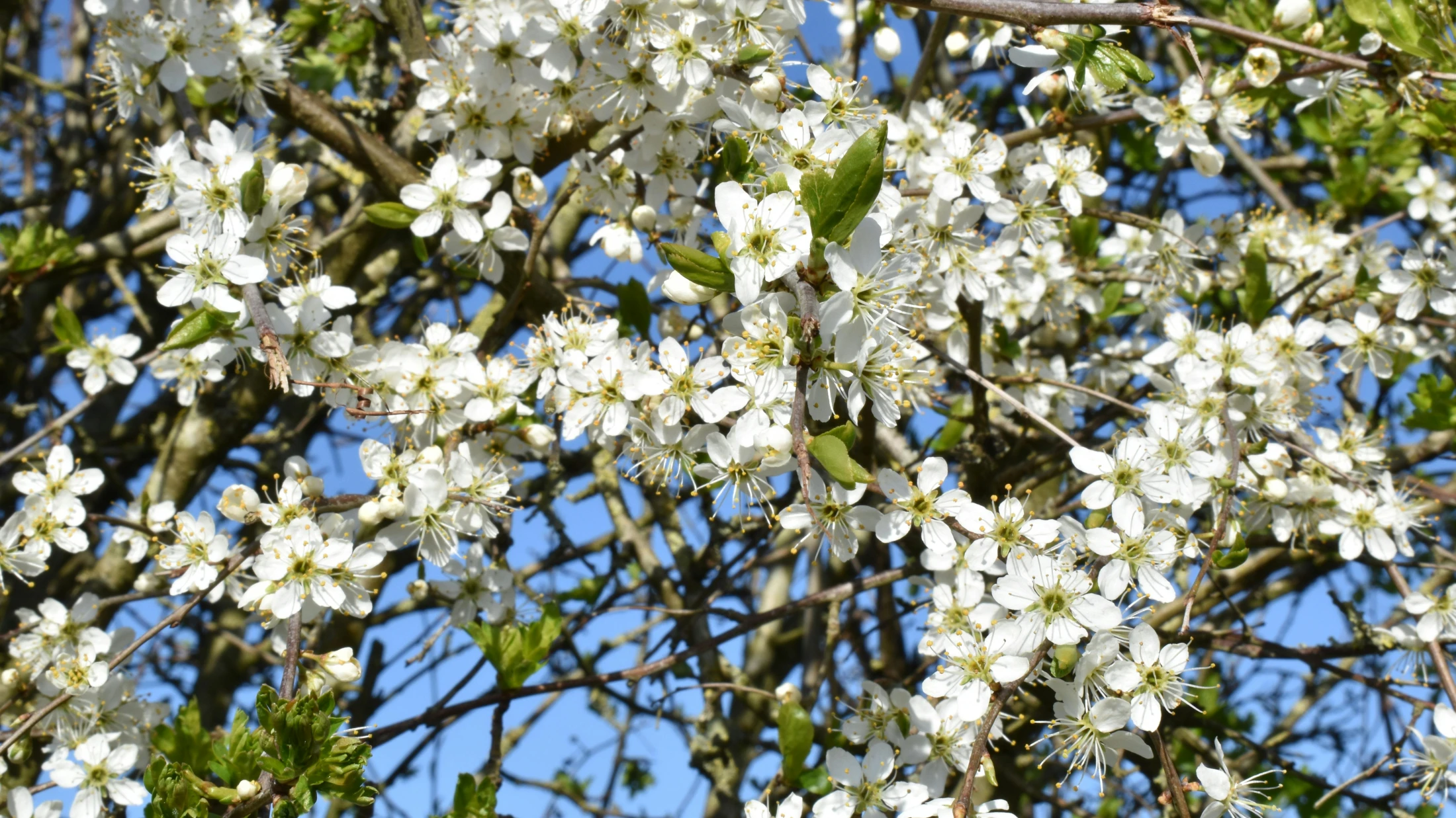 © Inthemomentprints © Inthemomentprints