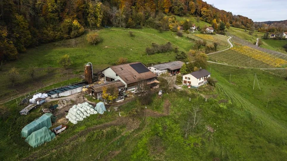 © Schaffhauser Nachrichten © Schaffhauser Nachrichten