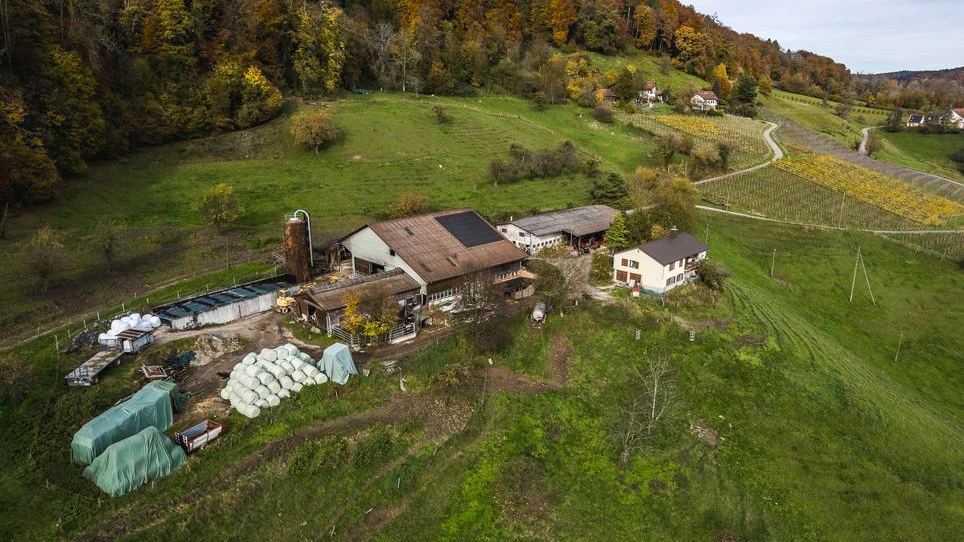 © Schaffhauser Nachrichten