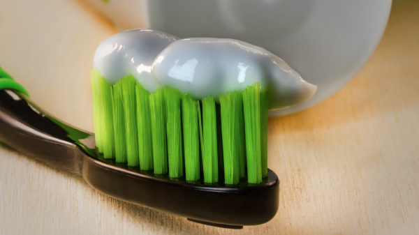 Auf den richtigen Biss kommt es an! , © Pixabay