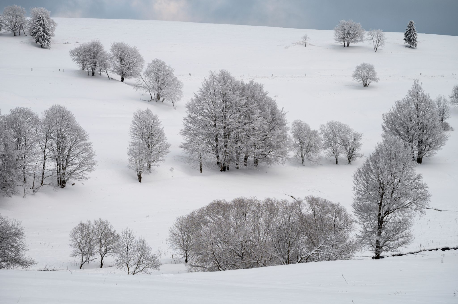 Eine verschneite Winterlandschaft mit Laubbäumen.