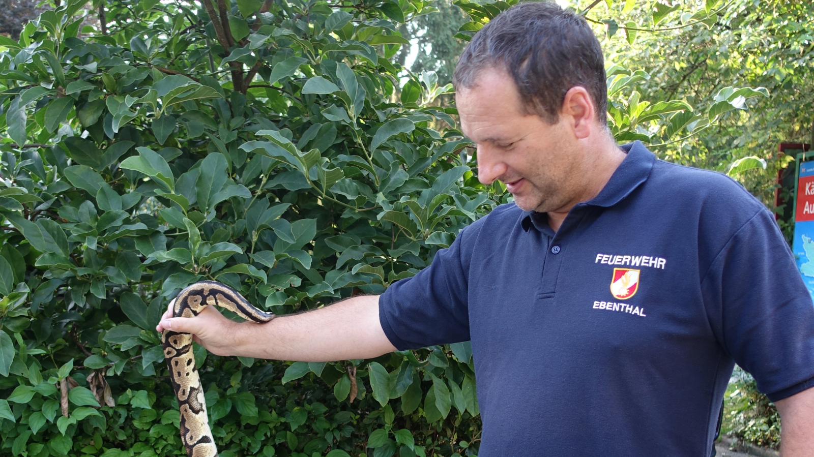 Ormanda Gezerken Dikkat: Yılan Çıkabilir , © dpa-Bildfunk