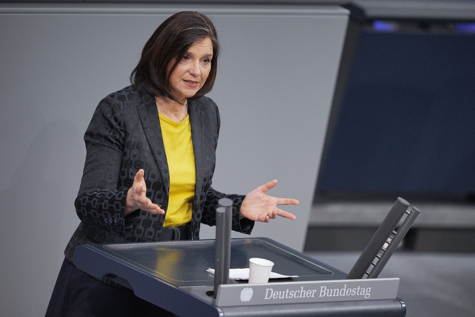 Katrin Dagmar Göring-Eckardt spricht im Bundestag.